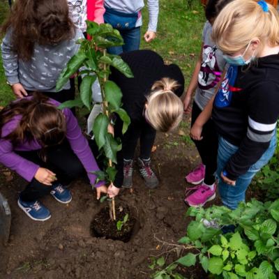 2020 10 04 07 P1030240 Resized