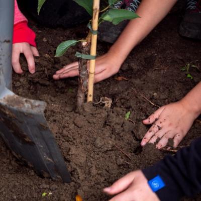 2020 10 04 08 P1030243 Resized